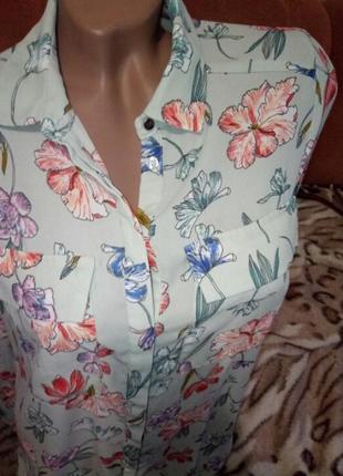 Блуза кофочка рубвшка2 фото