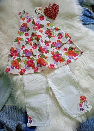 Gymboree, річний, яскравий комплект