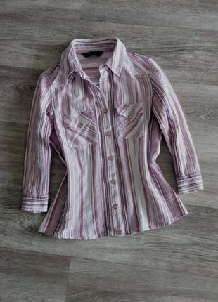 Блузка рубашкав смужку 100% котон