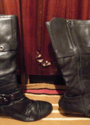 Чоботи демісезонні