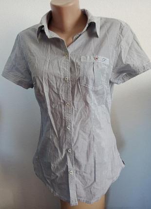 Рубашка в узенькую полоску,размер  l1 фото