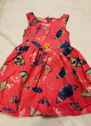 Сукня нм 2-3г