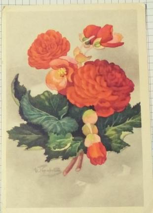 Листівка раритет 1964