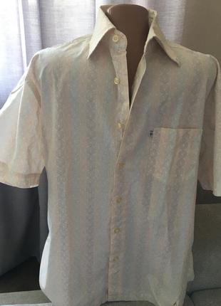 Рубашка мужская tom