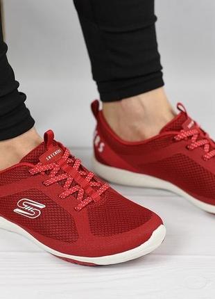 Женские кроссовки skechers Sneaker — цена 1700 грн в каталоге Кроссовки ✓  Купить женские вещи по доступной цене на Шафе | Украина #69349353 | Skechers  Sneaker Max Cushioning Ultimate Marathon Running Shoes Sneakers 54441-OFWT