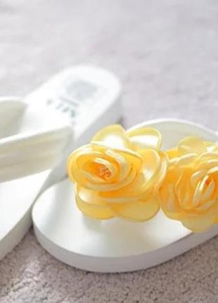 Літні в'єтнамки р. 37