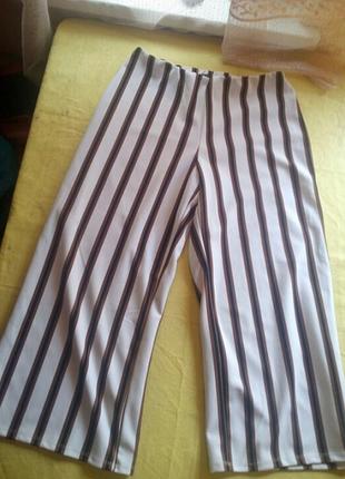 Штани колюти