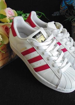 Superstar 35.5 sale
