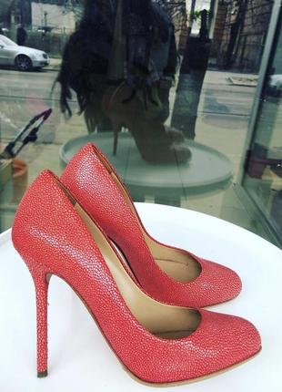 Взуття sergio rossi1 фото
