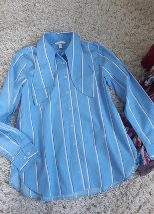 Стильна бавовняна блуза/сорочка з оригінальним коміром,h&m, p. 6-87 фото