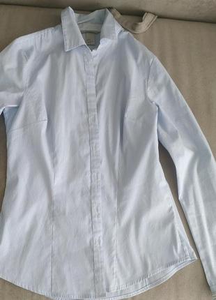 Полосатая рубашка сине-белая рубашка
