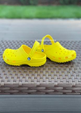 Сабо crocs