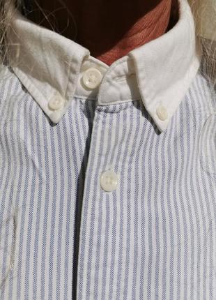 Рубашка allsaints в полоску коттон хлопок тениска с вышивкой мужская