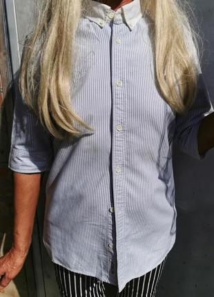 Сорочка allsaints коттон бавовна в смужку чоловіча теніска з вишивкою