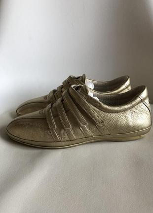 Кросівки ecco