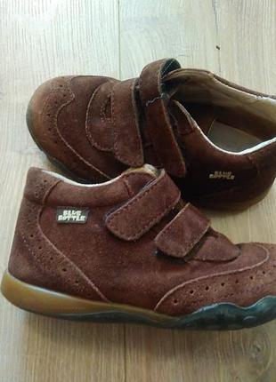 Дитячі туфлі/черевички на липучці /шкіряні дитяче туфлі blue bottle