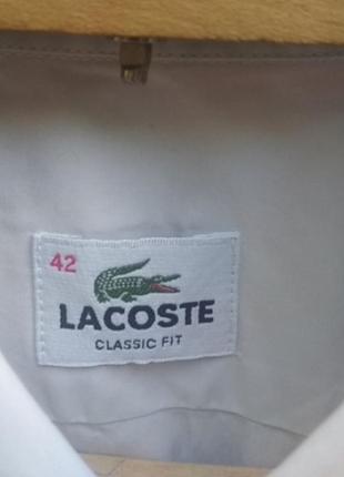 Рубашка известного бренда lacoste7 фото