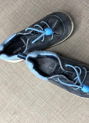 Кросівки ecco biom 2