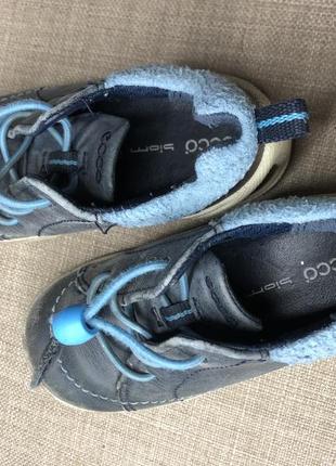 Кросівки ecco biom 5