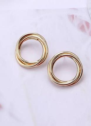 Сережки 5