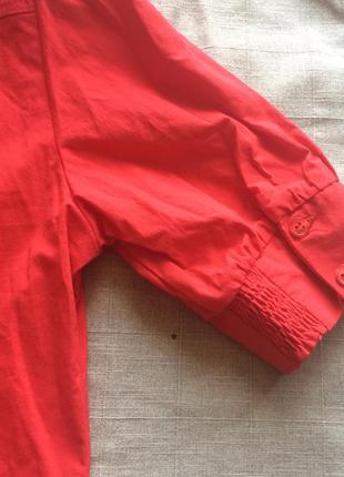 Базова червона бавовняна блуза ethelaustin4 фото