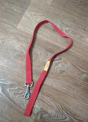 Короткий поводок для собаки pedigree