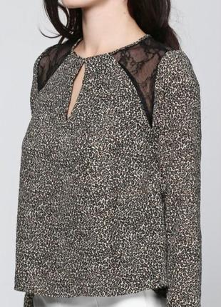 Блуза блузка леопардовый принт с кружевом ✨bershka✨животный принт кружево4 фото