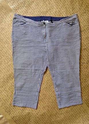 Шикарные легкие  легкие укороченные натуральные светлые штаны бриджи из жатого хлопка в мелкую бело-синюю полоску батал большой размер