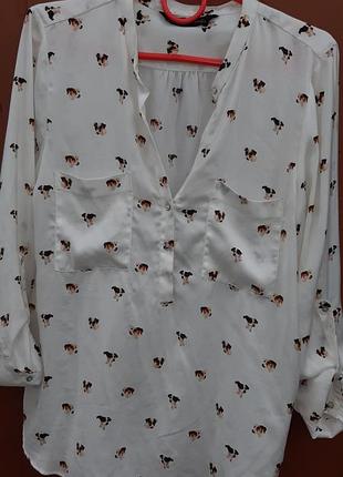Рубашка, блузка zara з собачками