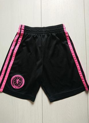 Спортивні шорти adidas