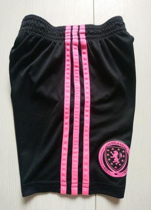 Спортивні шорти adidas 6