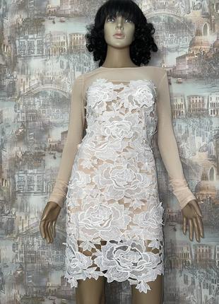 Сукня мережева платье кмужево missguided