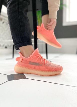 Жіночі кросівки adidas yeezy boost 350 v2 знижка sale / жіночі кросівки знижка