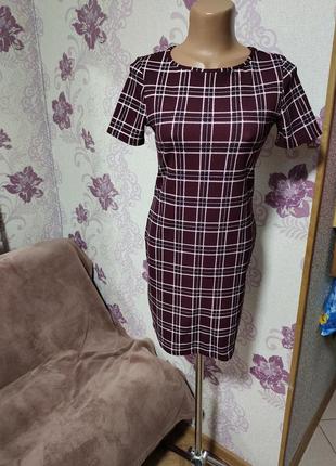 Бордове плаття клітина. new look.