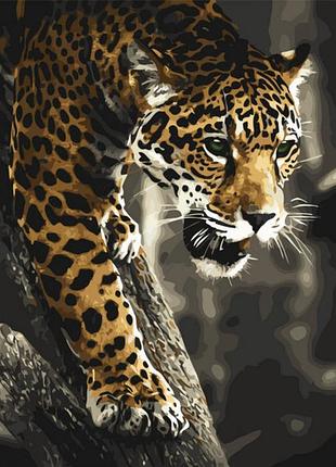 Картина за номерами в коробці 50*65 стор хижак в джунглях