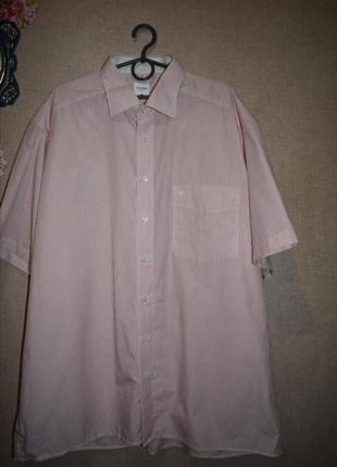 Рубашка короткий рукав в полоску