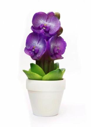 Свеча подарочная в керамическом горшочке фиолетовая орхидея1 фото
