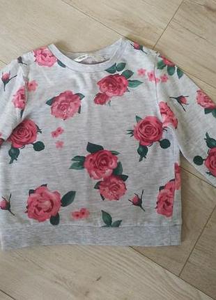 Кофта, свитшот h&m