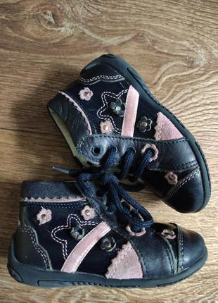 Черевики чоботи черевички демі 21