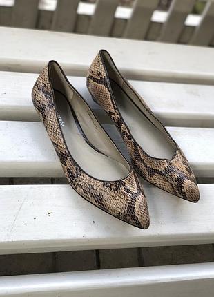 Нові,шкіряні туфлі,човники,балетки,вузький ніс,зміїний принт autograph