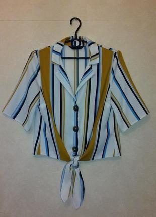 Трендова сорочка в смужку / блузка на гудзиках з коротким рукавом / сорочка