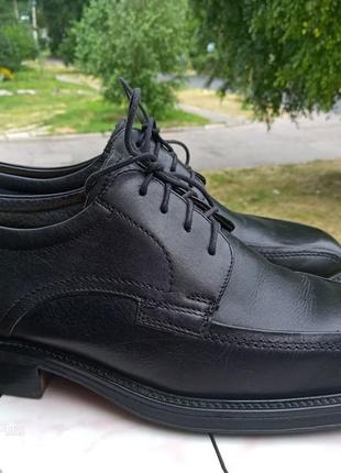 Туфли мужские кожаные claudio conti (германия) размер 437 фото