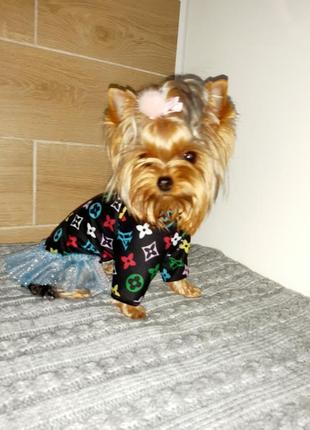 🔥плаття для собак дрібних порід та котів🔥