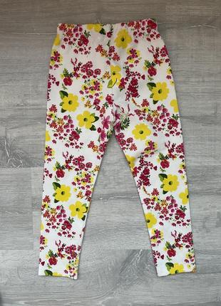 Лосини,легінси zara 2