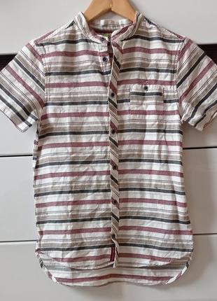 Хлопковая рубашка orchestra воротник стойка