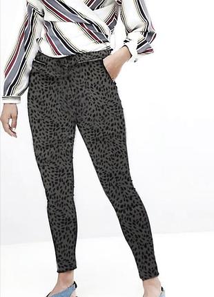 Суперові стрейчеві штани жіночі в леопардовий принт з блискавками new look