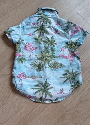 Гавайская рубашка с фламинго коттон5 фото