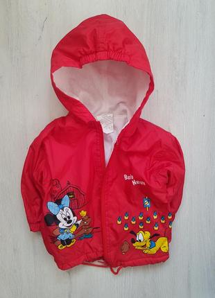 Куртка вітровка disney рось 68-74 см