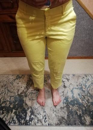 Жовті штани короткі, стрейч 38р