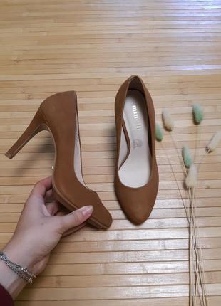 Туфлі minelli
